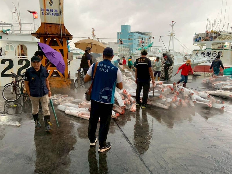 北太平洋海域非法獵捕海豚 屏檢起訴「漁勝發」船長