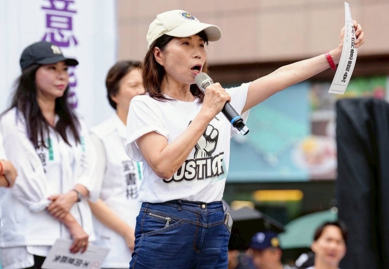 陳昭姿拋綠白合作「3前提」遭沈伯洋冷回　網友怒嗆騙票退黨