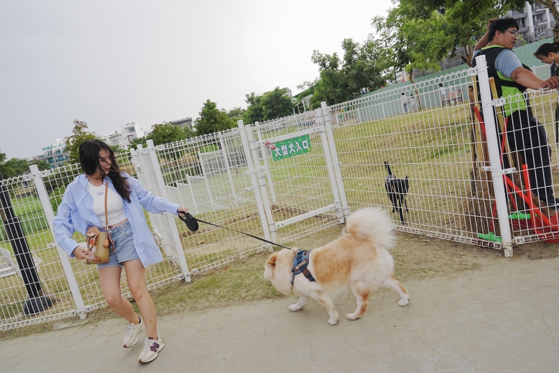 活化西灣滯洪池空間 打造寵物友善公園實現毛孩活動福利