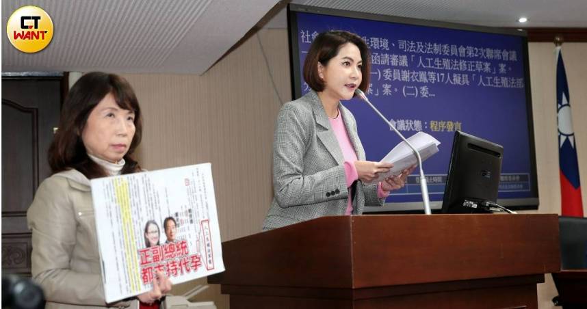 代理孕母修法遭質疑未利益迴避　陳菁徽宣布退出條文審查