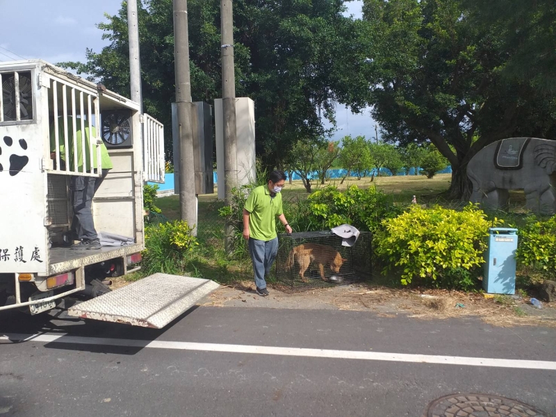 動保處持續加強沿海遊蕩犬管制工作 以維護市民人身安全