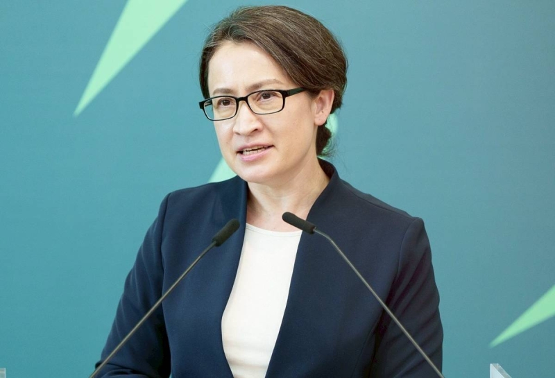 蕭美琴戰貓外交大突破？　翁履中：歐盟議會演說只是借場地「是偷渡」