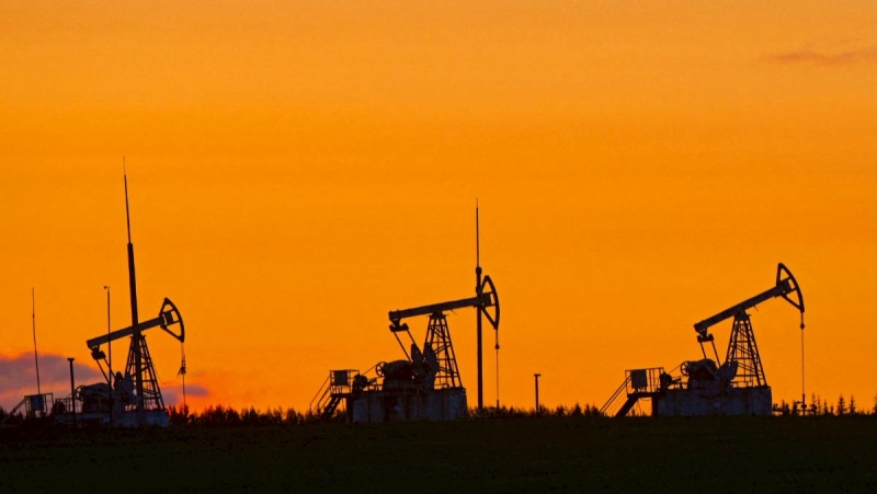 只為半導體台灣進口俄羅斯石腦油創新高　外媒：成全球最大買家