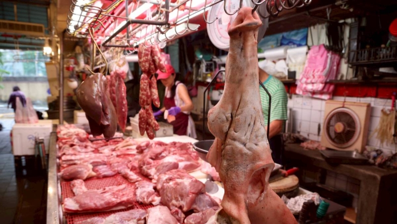 挨轟刪除「邊境管制預算」2000萬　民眾黨團反擊：卓內閣編5.6億「蘇貞昌僅編4.5億」