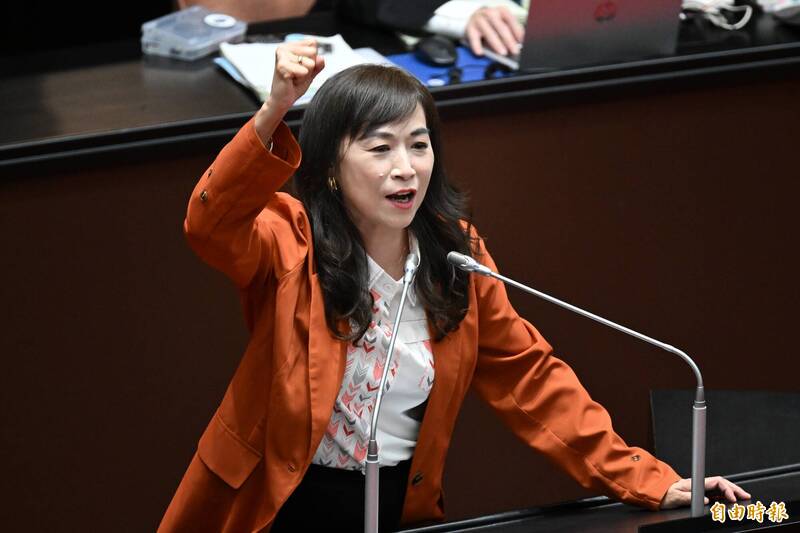 林宜瑾涉詐助理費起訴 民進黨廉政會：一審判決有罪才處分