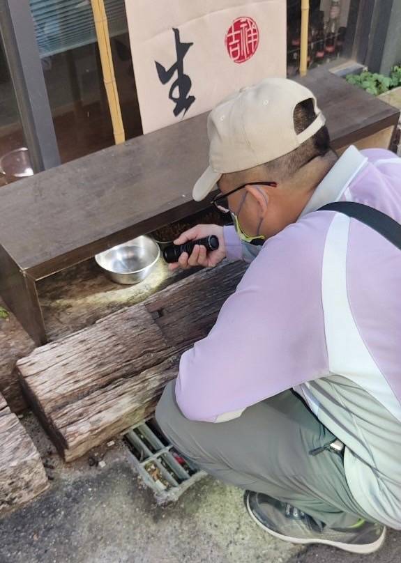 雨後積水是病媒蚊孳生大溫床，籲請所有市民共同落實孳清