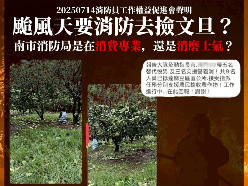 叫消防員幫忙撿文旦？　台南消防局緩頰：自願參與