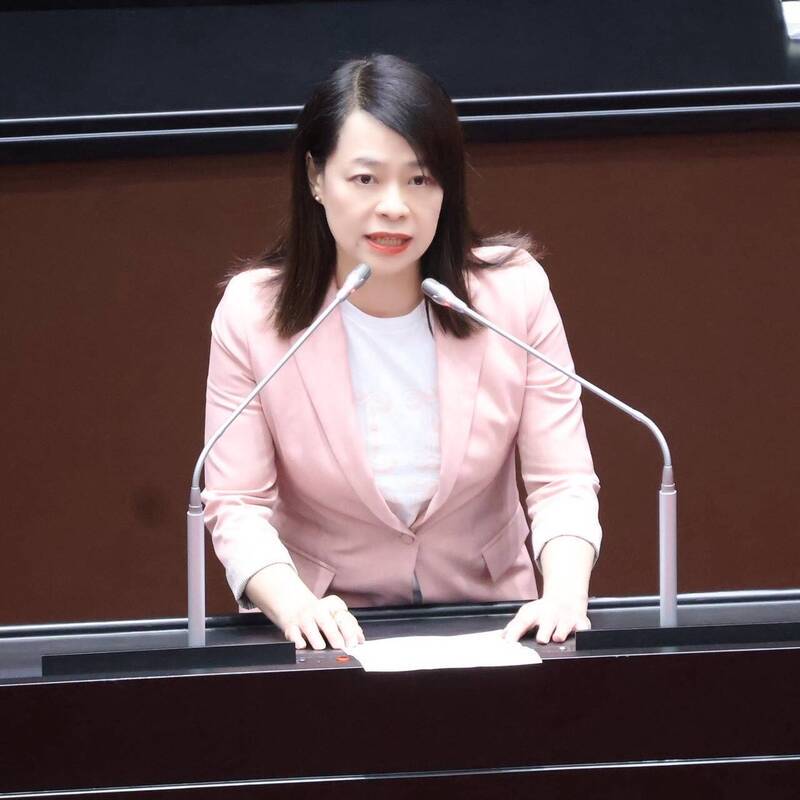 台電董座委屈稱「無法決定價格」藍委轟：人民委屈該向誰哭喊？