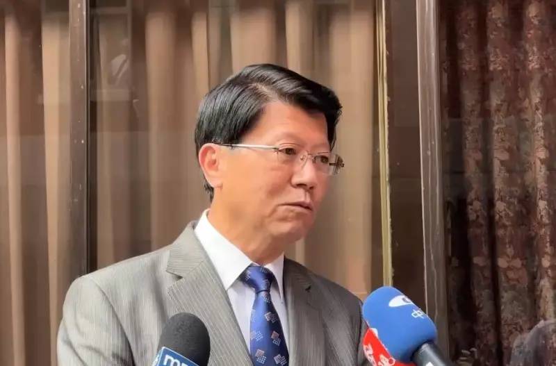 綠營台南第二選項是謝龍介?他斷言最差後果